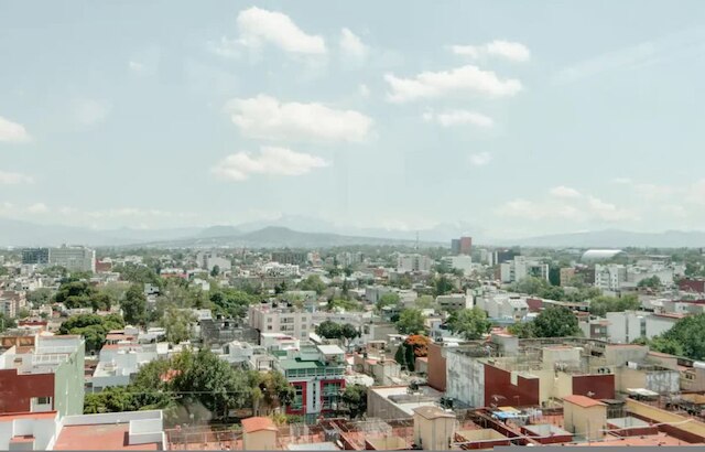 トップベッド ミックスド シェアード ルーム