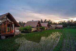 ポンドック マワス