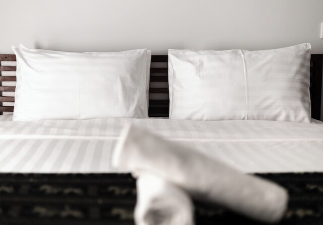 バナナ リゾート ル プティ ニド ド カロ