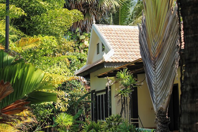 バナナ リゾート ル プティ ニド ド カロ