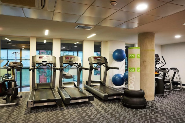 スチューデント オンリー ヴィタ ファースト ストリート