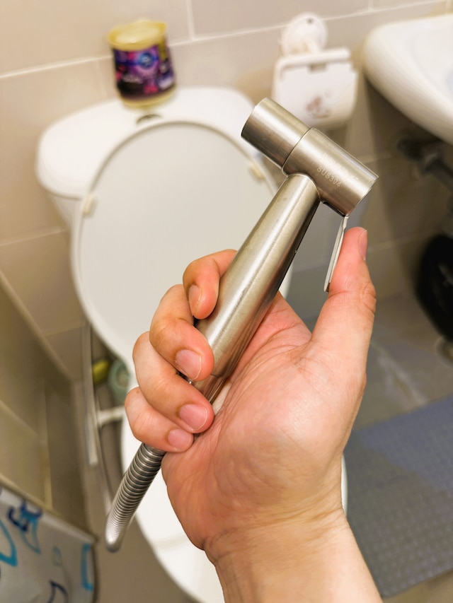 ホーランド パーク コンドミニアム