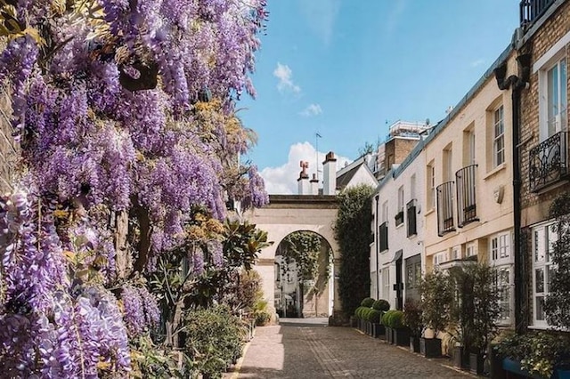 チャーミング スペーシャス 5ベッド ミューズ ハウス - ケンジントン