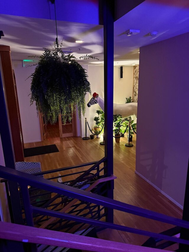 ユニコーン ゼブラ