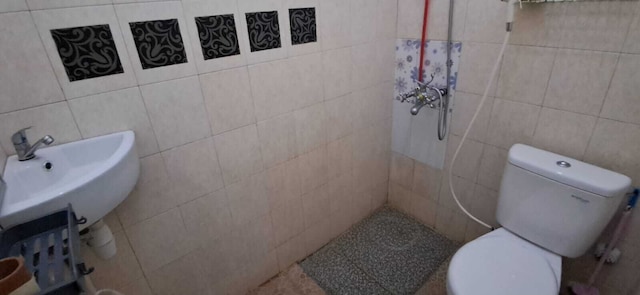 ベンテラ ホームステイ