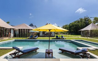 ワイルドフラワー