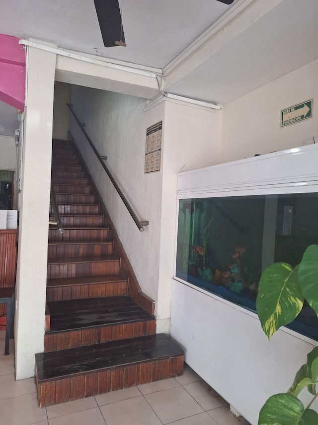 ホテル カンクン ロサ