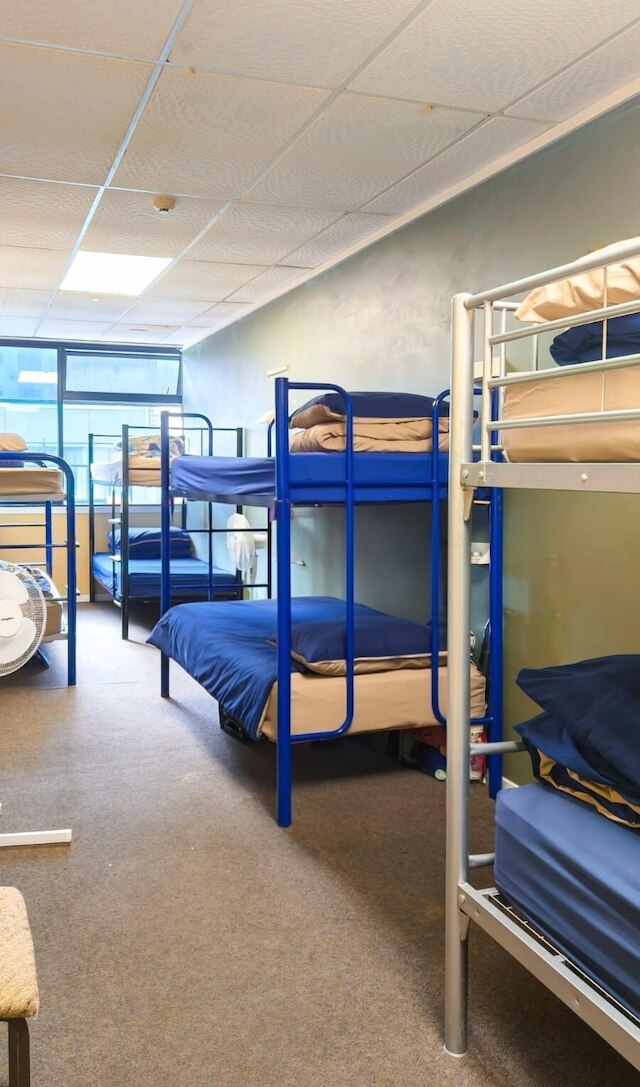 シルバーファーン バックパッカーズ