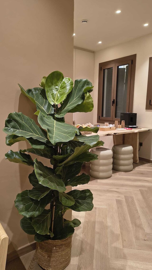 ホスタル アンボス ムンドス