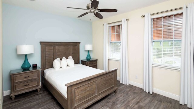 フォルモサ ミモサ マルガリータヴィル！