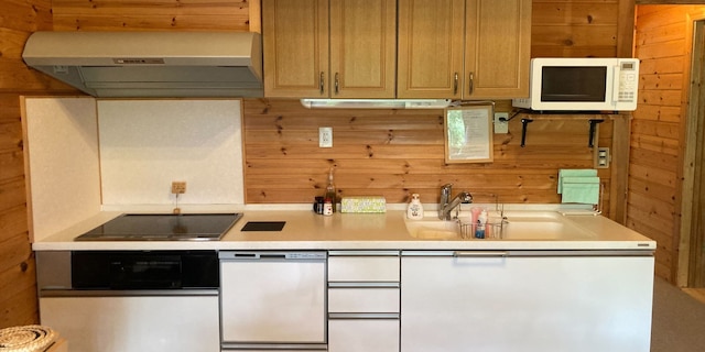 斑尾バカンスビレッジ