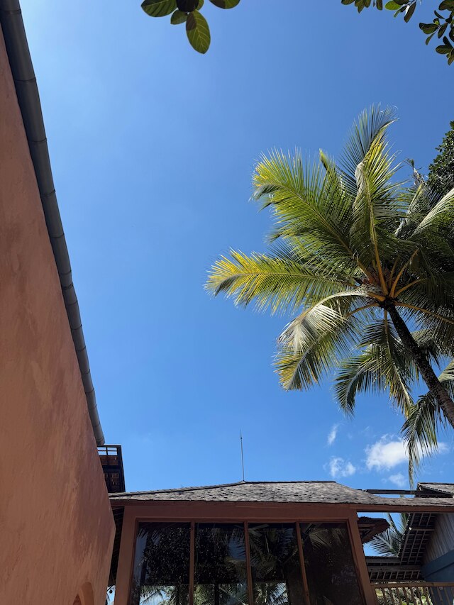 ムーン ギャング