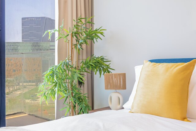 ブルームフィールド コンフォート ストゥ マリヤ ヴィスタ