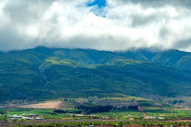 ホヌア カイ ホクラニ 520/24 フリー カー KBM リゾーツ