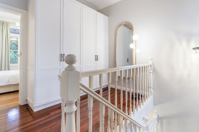 ザ ハンプトンズ パディントン ホーム