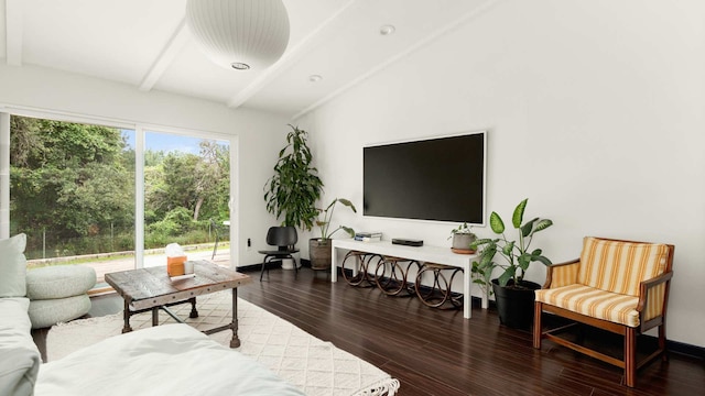 アップステイ コンテンポラリー 4 ベッドルーム ファミリー ホーム ウィズ ガーデン