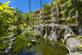 パキ マウイ 103