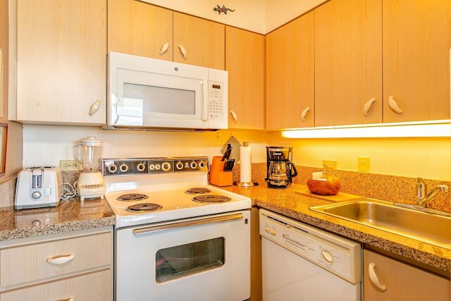 パキ マウイ 103