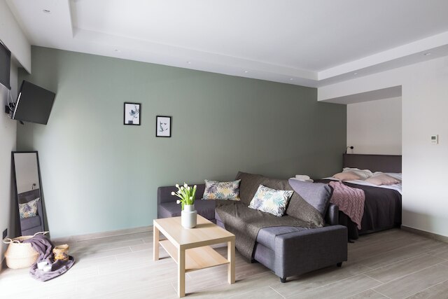 12 リーズンズ ホワイ メタクスルギオ