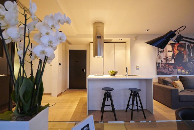 マ メゾン ダウンタウン ロフト No 4 360mbps アクロポリス ウォーク