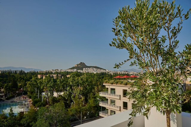 マ メゾン アクロポリス マンション スイート N 7 ルーフ ガーデン