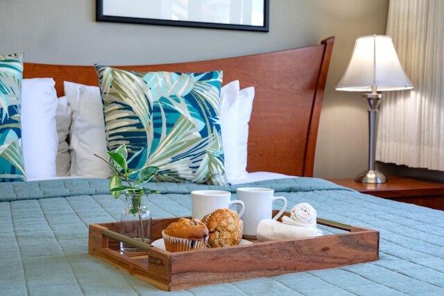 パパケア 403/04 フリー CAR KBM リゾーツ