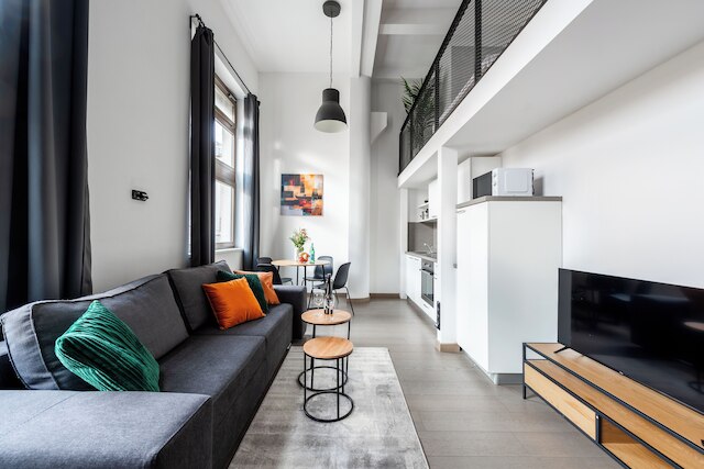 アパートメント イン プラハ ニア カーリン スクエア