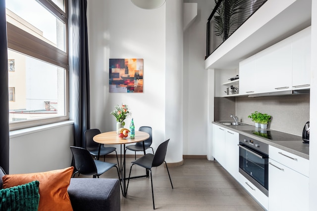 アパートメント イン プラハ ニア カーリン スクエア