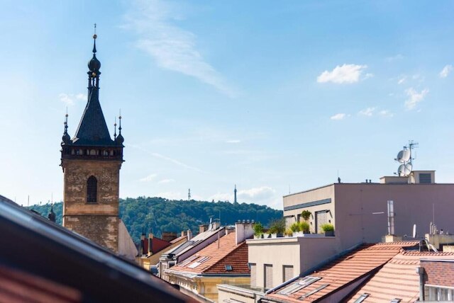 アパートメント イン プラハ ニア カーリン スクエア