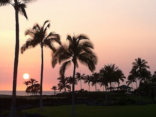 オーシャン ビュー ゴルフ サンセット プール Vrkcv