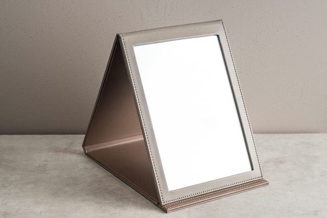 ホテル アマネク 浅草桜橋