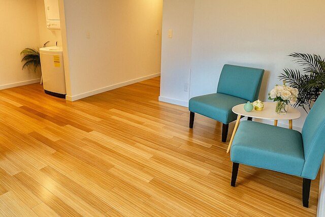 コージー キャピトル ヒル ウィズ ニードル ビュー