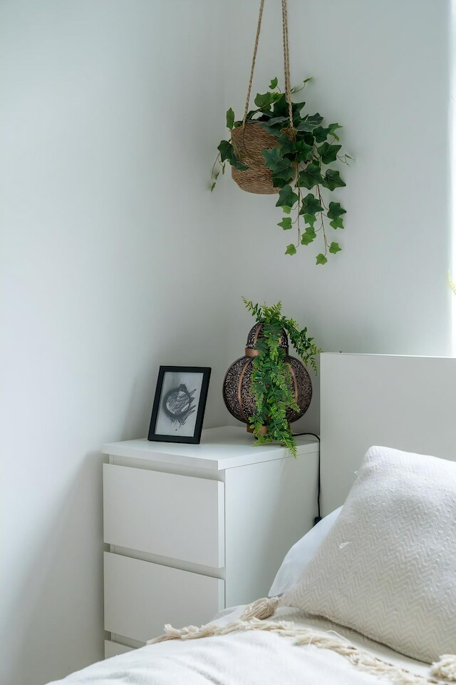 コージー ミューズ フラット ニア リトル ベニス