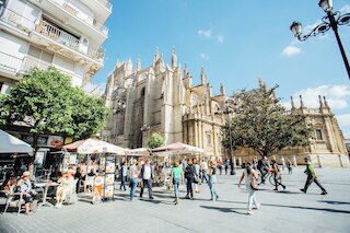 プレシオサス ビスタス ア カテドラル