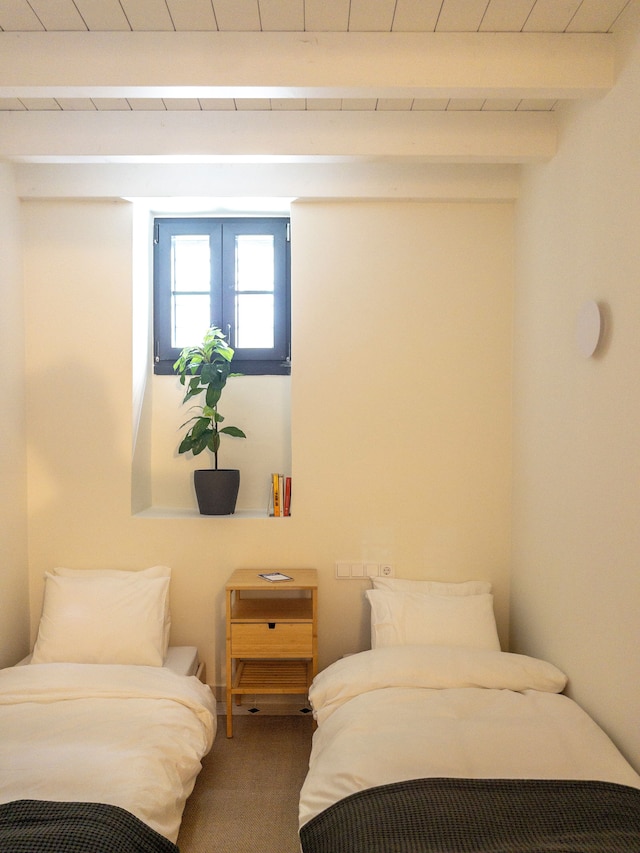 ビグトレル アテネ