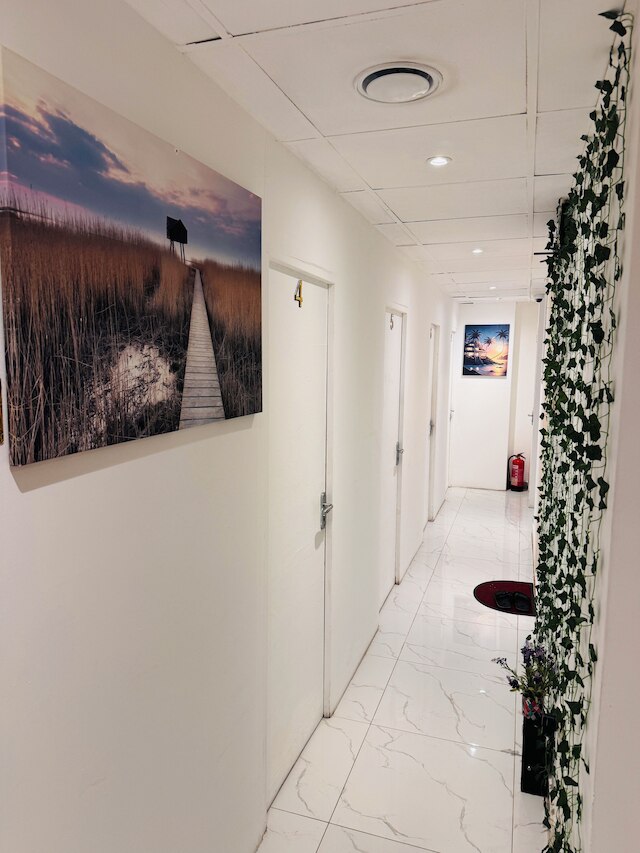 マジェスティック タウン