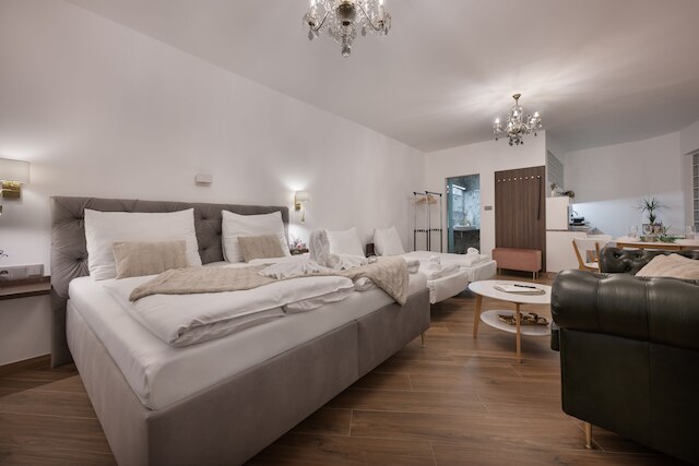 カイザーシュタイン パレス アパートメンツ