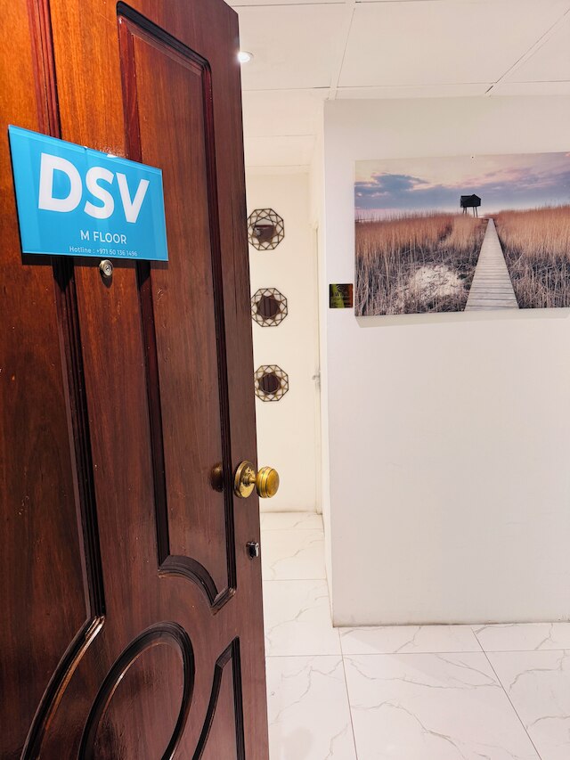 DSV プロパティ