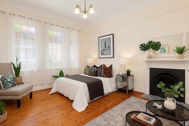 ザ パディントン ホワイト サンクチュアリ