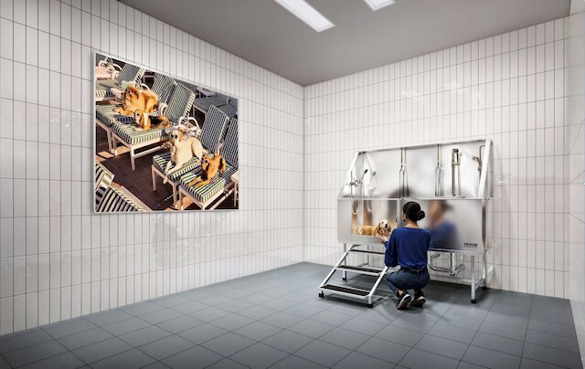 ラグジュアリー アパートメンツ by ハイアタス ボストン - ケンブリッジ