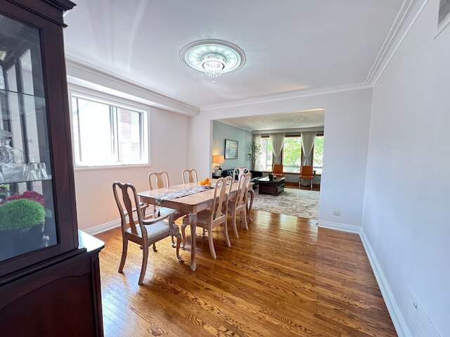 セレーン ステイ