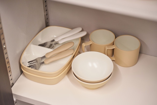 Mt.Fuji Resort Club E-sports1