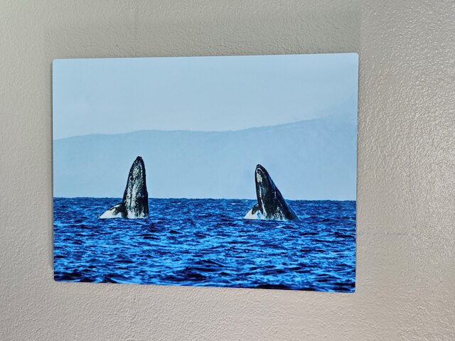 プルメリア ヒロ ホテル