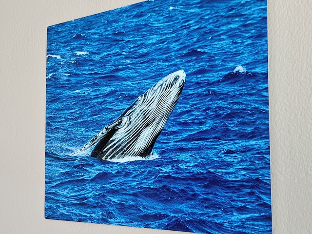 プルメリア ヒロ ホテル