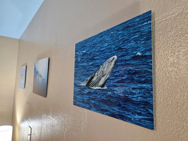 プルメリア ヒロ ホテル