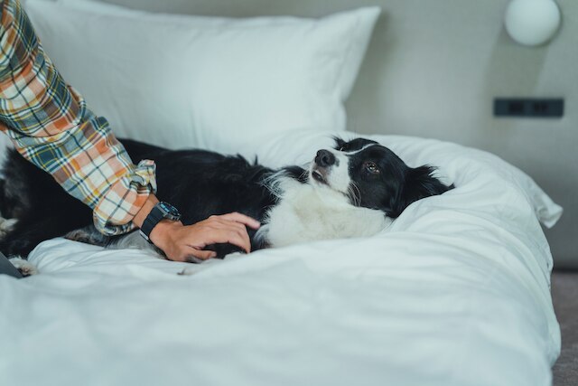 SANU 2nd Home 北軽井沢 2nd