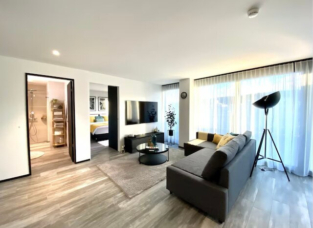 ラグジュアリー プロパティ レンテッド アット デューベンドルフ