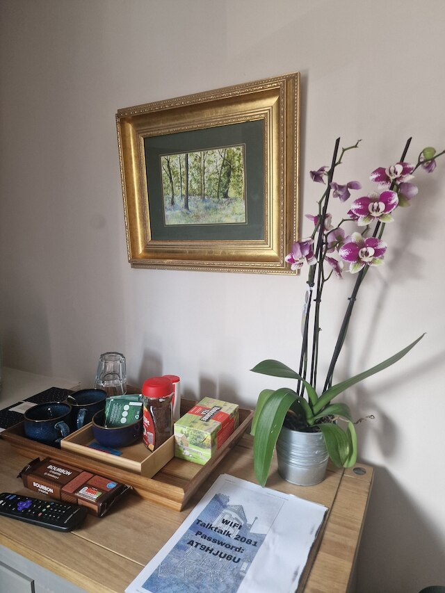 ザ ビーン アパートメント