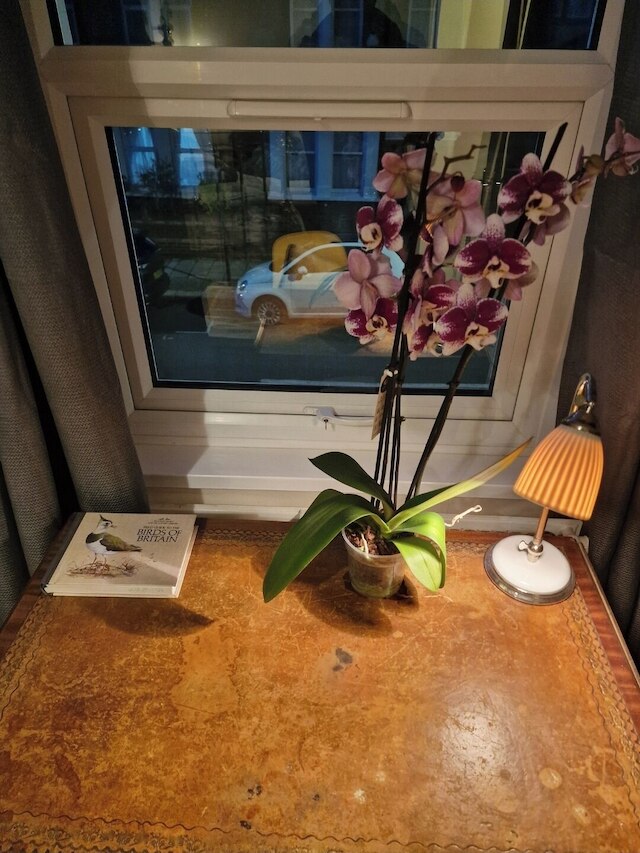 ザ ビーン アパートメント