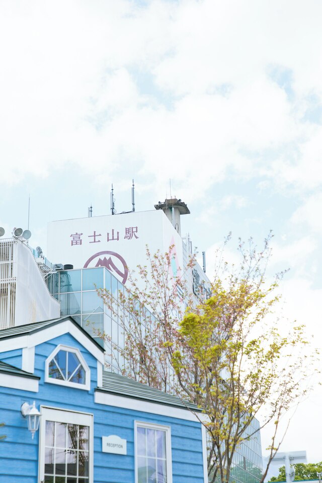 イン・ザ・富士